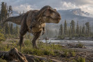 T-rex měl teplotu jako člověk. Prozradily ho zuby