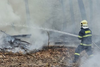 Rozsáhlý požár lesa u Vlachovic–Vrbětic
